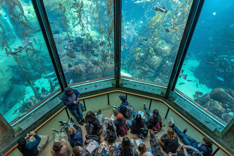 Monterey Bay Aquarium