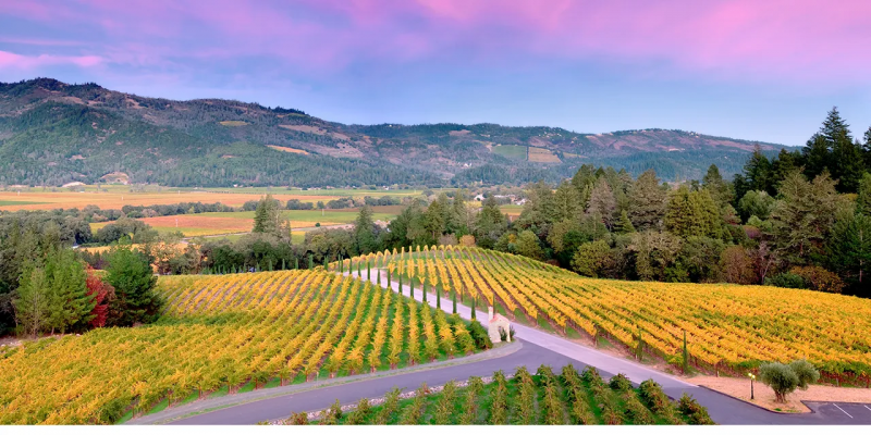 Napa Valley Wineries
